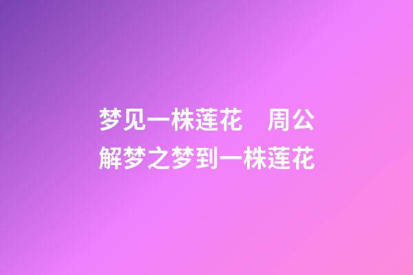 梦见一株莲花　周公解梦之梦到一株莲花